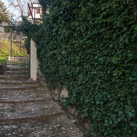 Evridiki By Pelion Esties Βίλα